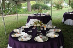 gallery-photo13