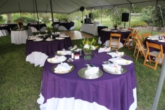 gallery-photo14