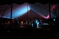 gallery-photo24