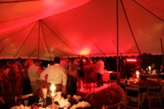 gallery-photo27
