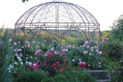 gallery-photo39
