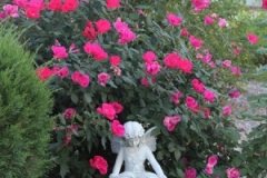 gallery-photo43
