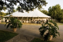 gallery-photo44