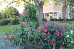 gallery-photo45