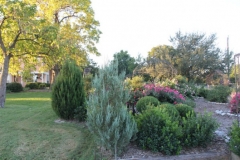 gallery-photo48