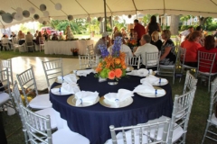 gallery-photo60
