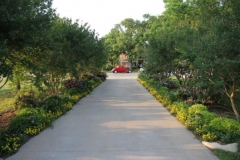 gallery-photo63