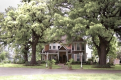 gallery-photo75