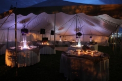 gallery-photo85