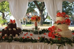 gallery-photo91